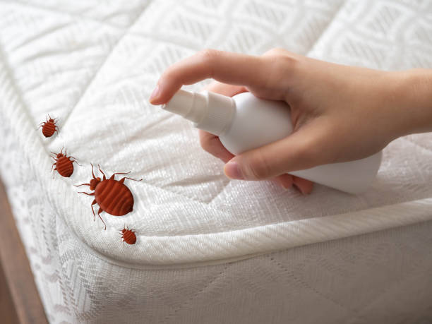 Best Pest Prevention Services  in Whiteland, IN